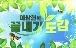 20250508 이상헌의 끝내기 도감 썸네일.png